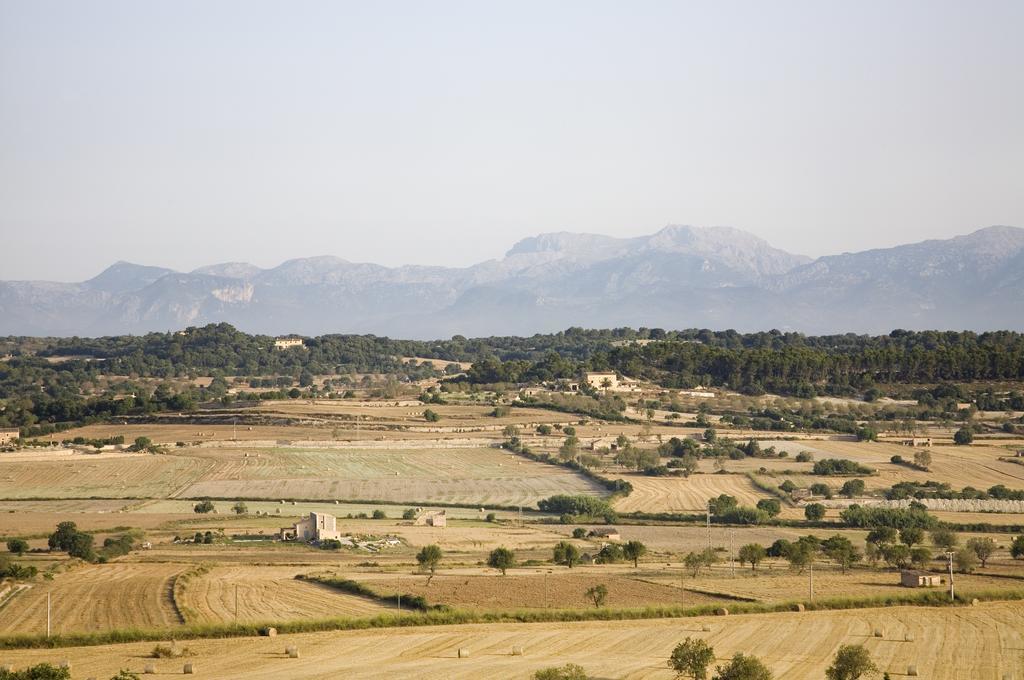 Sa Rota D' En Palerm By Mhr Vakantieboerderij